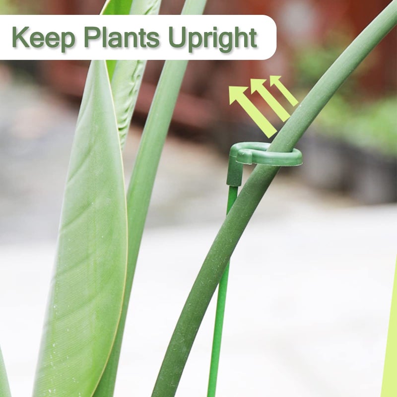 LUCKJUJU 30 Pcs Plant Support Stakes with 30 Pcs Plant Clips Garden Floral Flower Support Single Stem Support Stake for Phalaenopsis Orchid Flower Roses Amaryllis - Image 5